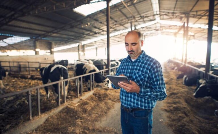 Nova Zelândia leva tecnologia pecuária a Campo Grande em missão comercial organizada pela NZTE