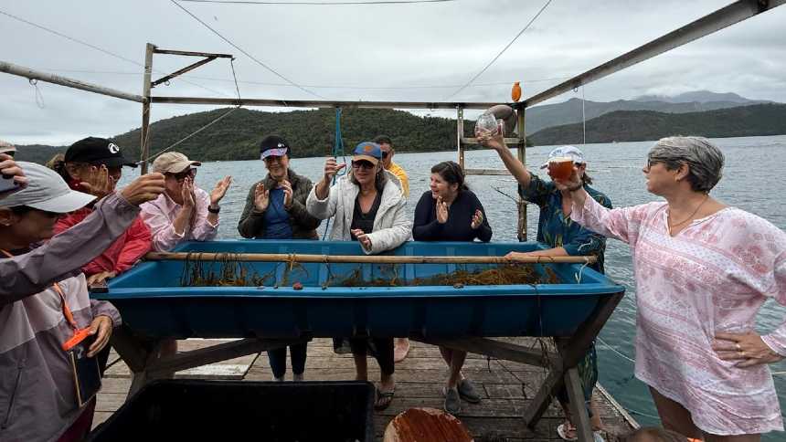 Turistas trocam roteiros tradicionais por viagens guiadas por chefs de cozinha